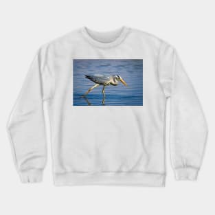 Grey Heron having a snack Crewneck Sweatshirt